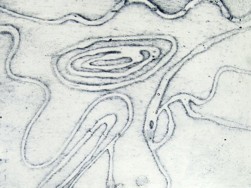 kumehr14-15
