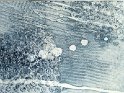kumehr14-12