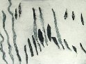 kumehr14-17